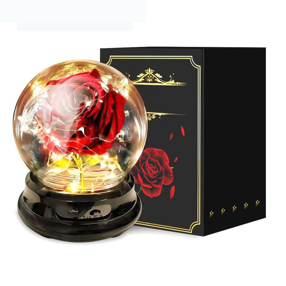 Forever Rose Beauty and The Beast Rose Kit - Mother's Day Gift - Decotree.co Online Shop