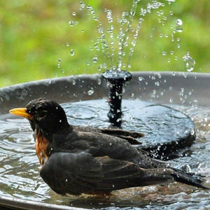 Solar Garden Fountain Solar Powered Fountain Pump for Bird Bath, Garden - Decotree.co Online Shop