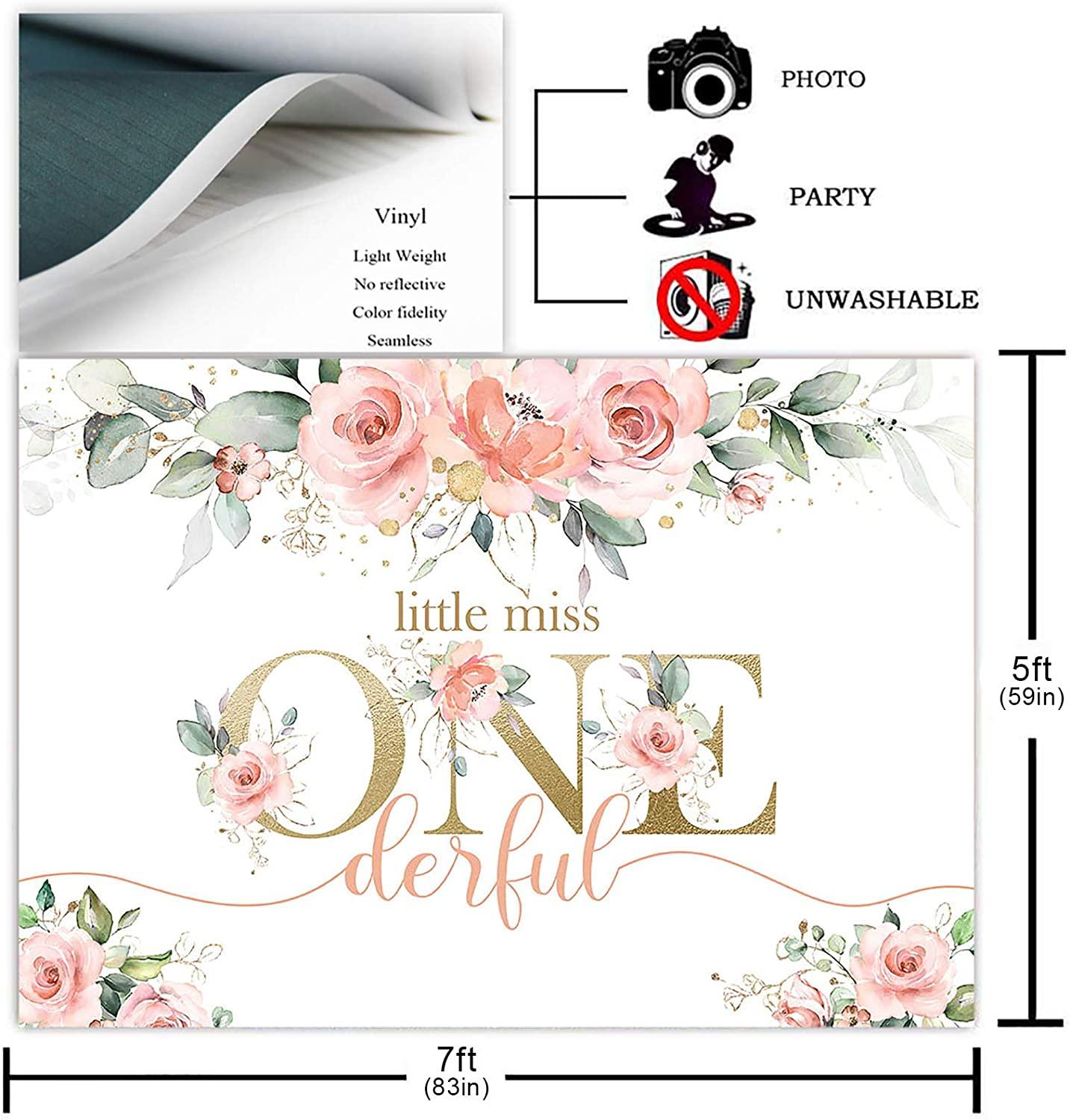 Blush Pink Floral 1st Birthday Party Backdrop for Girl Miss Onederful Party Photography Background - Decotree.co Online Shop