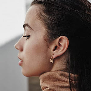 Butterfly Earrings for Women Huggie Hoop, Butterfly Dangle Earrings Drop Earrings - Decotree.co Online Shop