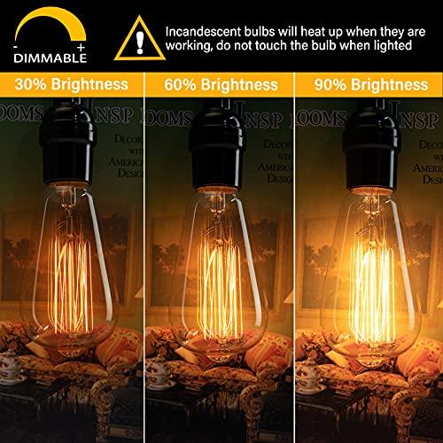 Edison Light Bulbs, 6Pcs Vintage 60 Watt Incandescent Light Bulbs - Decotree.co Online Shop