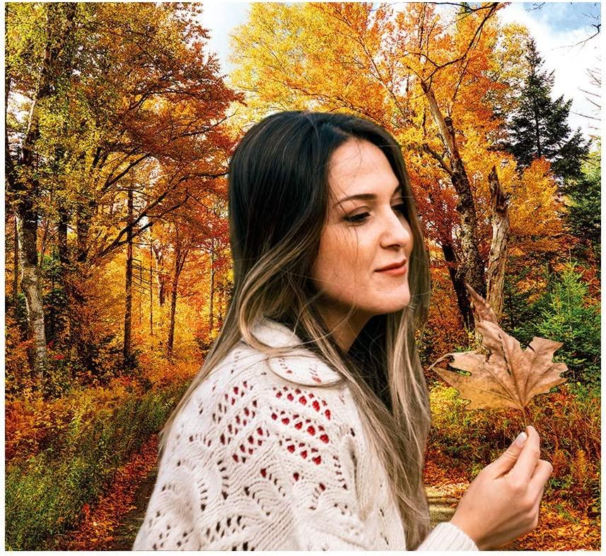 Fall Photography Backdrop Autumn Backdrop Golden Fallen Leaves Real Natural Landscape Photography Background for Party Decoration Banner Baby Shower Studio Props - Decotree.co Online Shop