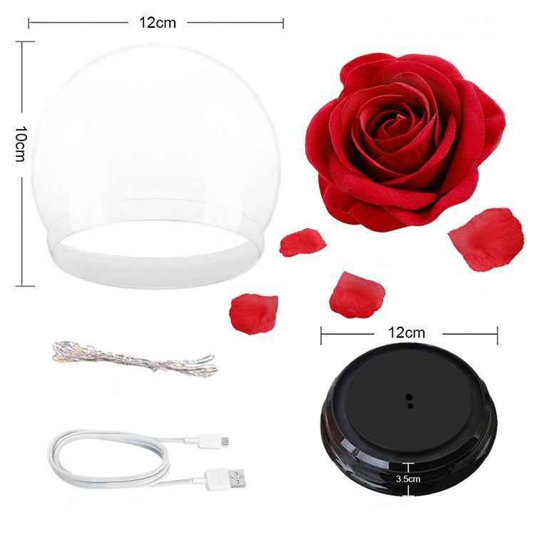 Forever Rose Beauty and The Beast Rose Kit - Mother's Day Gift - Decotree.co Online Shop