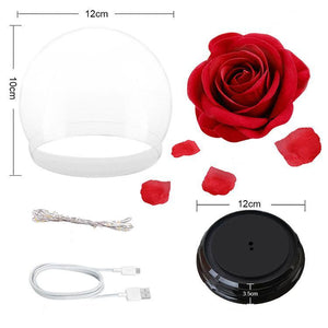 Forever Rose Beauty and The Beast Rose Kit - Mother's Day Gift - Decotree.co Online Shop
