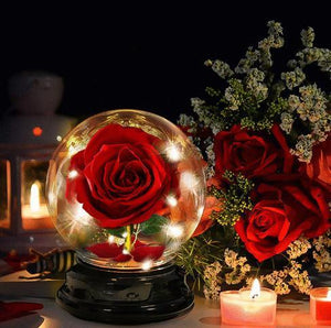 Forever Rose Beauty and The Beast Rose Kit - Mother's Day Gift - Decotree.co Online Shop