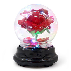 Forever Rose Beauty and The Beast Rose Kit - Mother's Day Gift - Decotree.co Online Shop