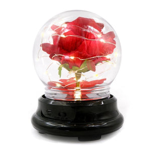 Forever Rose Beauty and The Beast Rose Kit - Mother's Day Gift - Decotree.co Online Shop