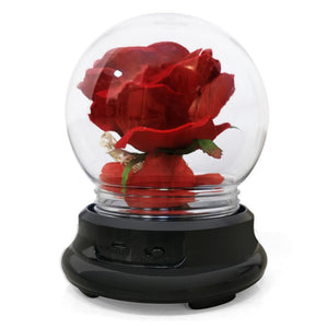 Forever Rose Beauty and The Beast Rose Kit - Mother's Day Gift - Decotree.co Online Shop