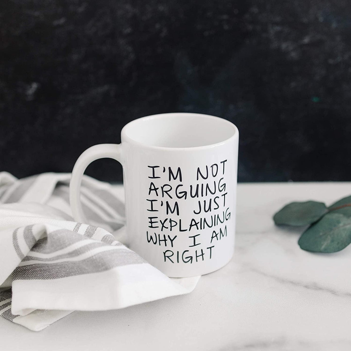Gag Gift Funny Coffee Mug - I'm Not Arguing I'm Just Explaining Why I Am Right - Decotree.co Online Shop
