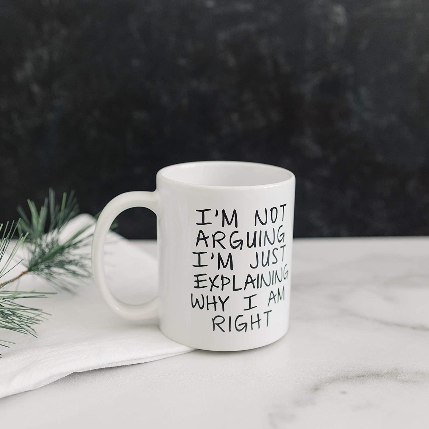 Gag Gift Funny Coffee Mug - I'm Not Arguing I'm Just Explaining Why I Am Right - Decotree.co Online Shop