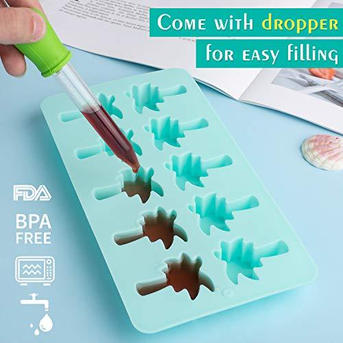 Hawaiian Silicone Chocolate Molds, Summer Tropical Candy Molds with Droppers Molds - Decotree.co Online Shop
