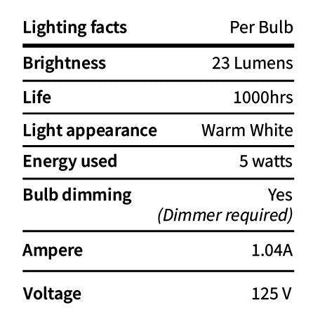 Outdoor String Lights 25 Feet G40 Globe Patio Lights with 27 Edison Glass Bulbs - Decotree.co Online Shop