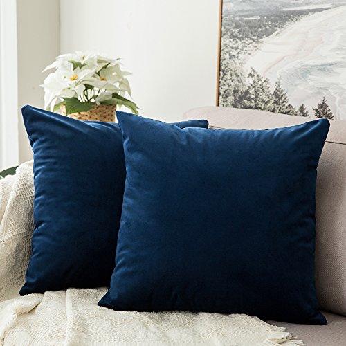 Pack of 2, Velvet Soft Solid Decorative Square Throw Pillow Covers Set Cushion Case for Sofa, Bedroom, Car - Decotree.co Online Shop