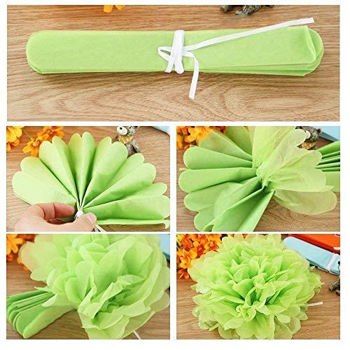 Paper Pom Poms Color Tissue Flowers Hanging Paper Fans Celebration Wedding Birthday Party Halloween Christmas Outdoor Decoration-Set of 20 - Decotree.co Online Shop