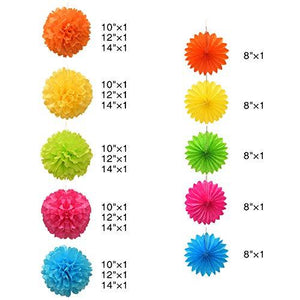 Paper Pom Poms Color Tissue Flowers Hanging Paper Fans Celebration Wedding Birthday Party Halloween Christmas Outdoor Decoration-Set of 20 - Decotree.co Online Shop