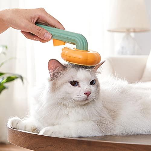 Pet Pumpkin Brush for Cats Dogs, Pet Hair Brush for Shedding and Grooming - Decotree.co Online Shop