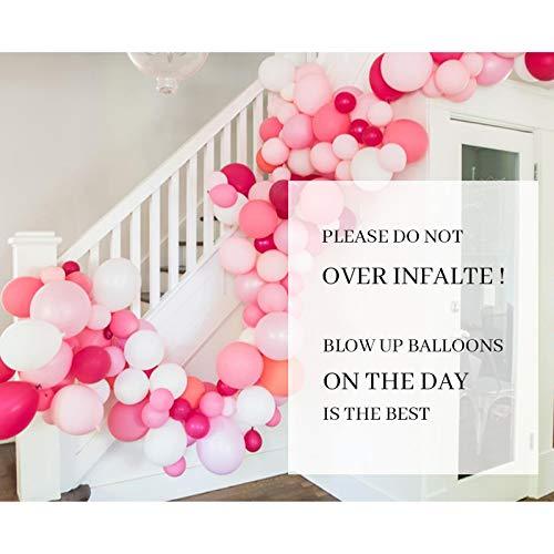 Pink Balloon Garland 120 Pack Latex Balloons 10 Inch - Baby Pink Balloons Round Balloon Macaron 6 Colors for Baby Shower Girl Party Decoration Birthday Wedding - Decotree.co Online Shop