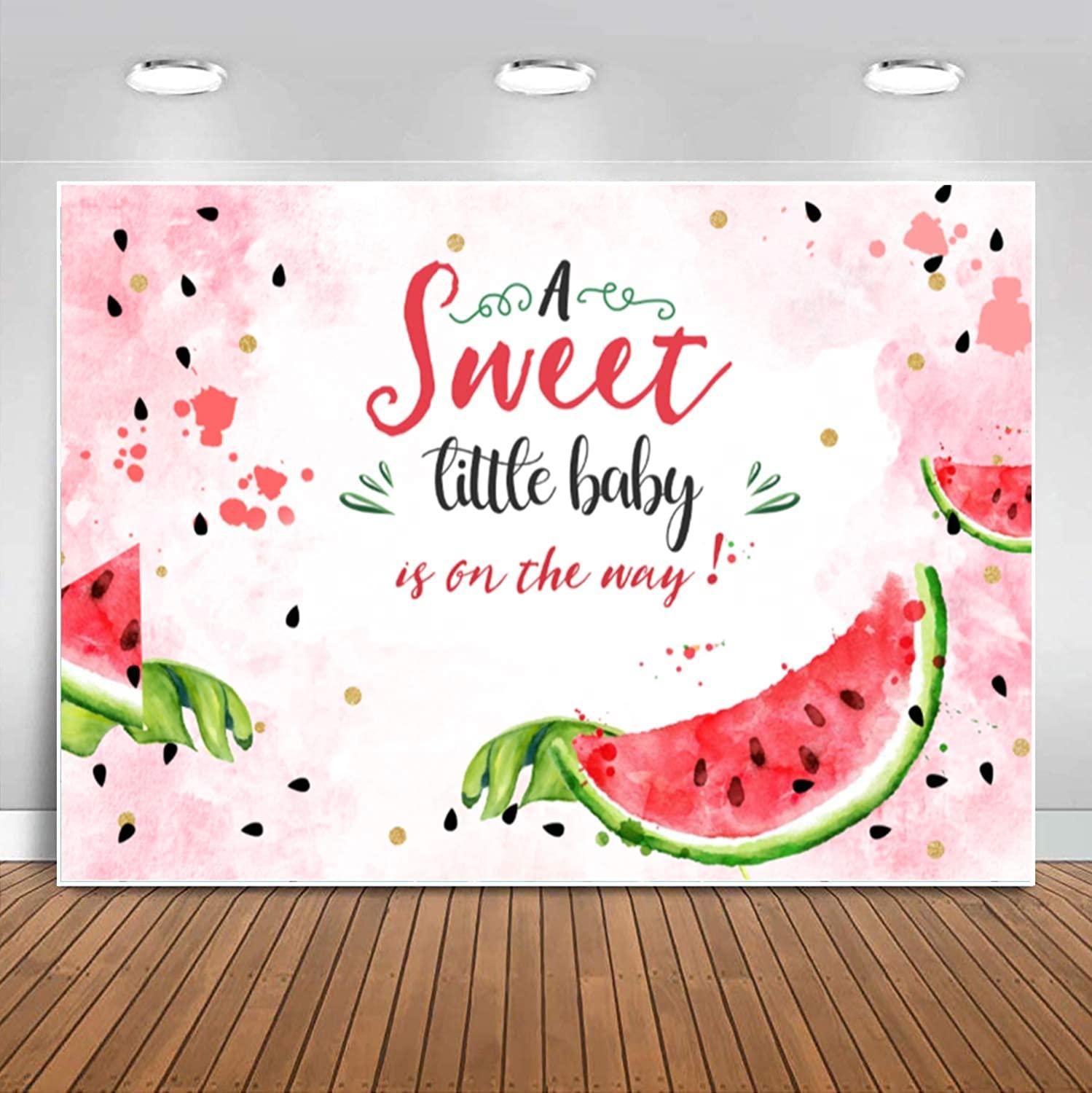 Pink Watermelon Baby Shower Backdrop Summer One in A Melon Watercolor Watermelon Theme Photography Background - Decotree.co Online Shop