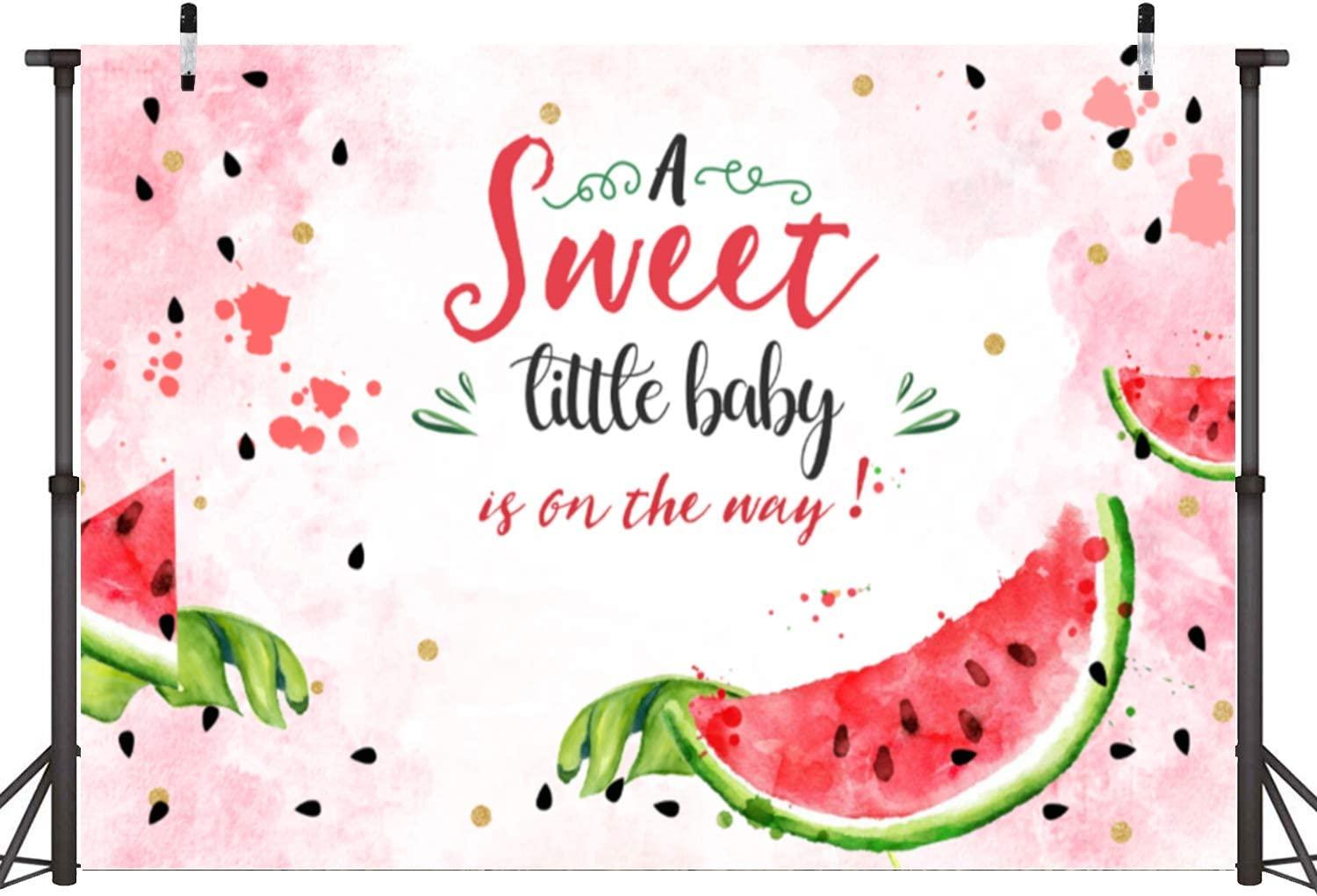 Pink Watermelon Baby Shower Backdrop Summer One in A Melon Watercolor Watermelon Theme Photography Background - Decotree.co Online Shop