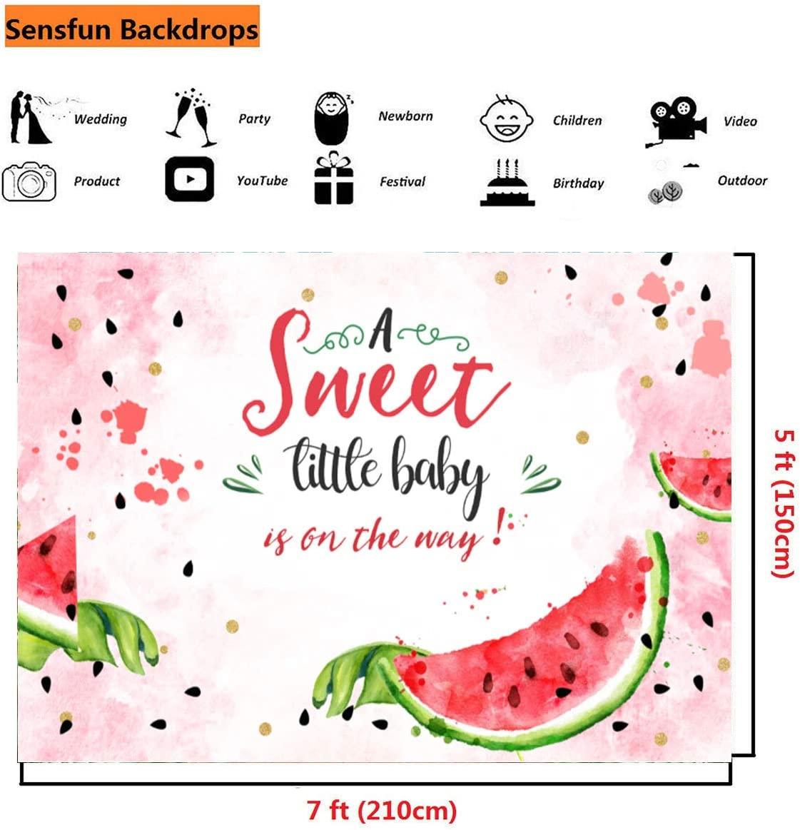 Pink Watermelon Baby Shower Backdrop Summer One in A Melon Watercolor Watermelon Theme Photography Background - Decotree.co Online Shop