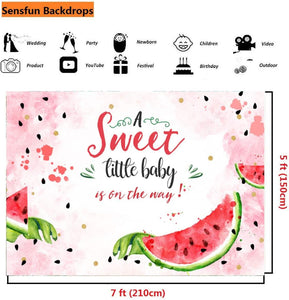 Pink Watermelon Baby Shower Backdrop Summer One in A Melon Watercolor Watermelon Theme Photography Background - Decotree.co Online Shop