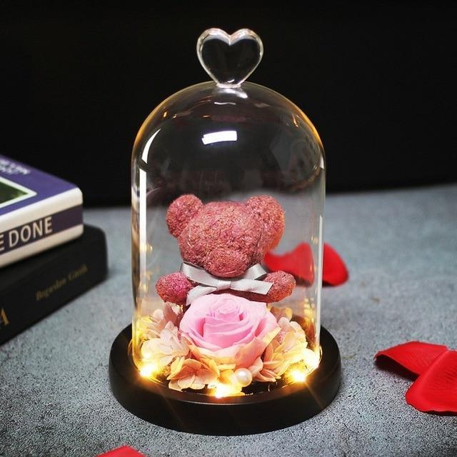 Eternal Preserved Fresh Rose Lovely Teddy Bear Molding Led Light In A Flask Immortal Rose Valentine's Day Mother's Day Gifts - Decotree.co Online Shop