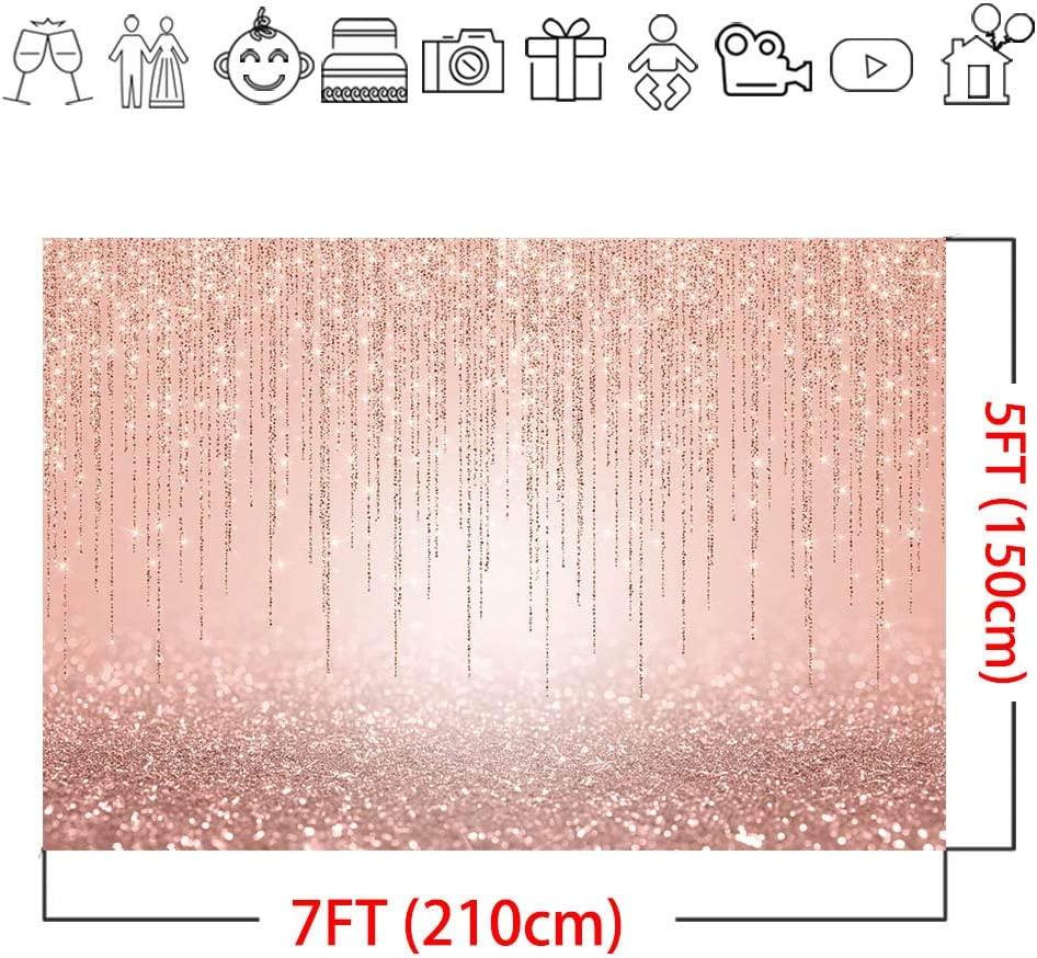 Rose Gold Glitter Backdrop Sweet 16th Girl's Birthday Party Decorations Photo Backdrops - Decotree.co Online Shop
