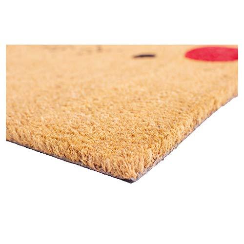 Rudolph Doormat for Christmas, Gift for Friends, Lovely doormat for Any Season - Decotree.co Online Shop