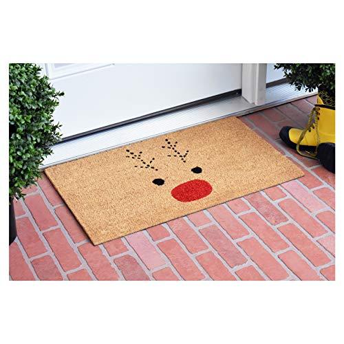 Rudolph Doormat for Christmas, Gift for Friends, Lovely doormat for Any Season - Decotree.co Online Shop