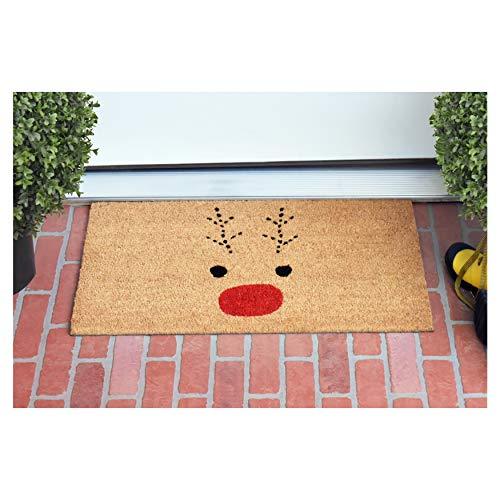 Rudolph Doormat for Christmas, Gift for Friends, Lovely doormat for Any Season - Decotree.co Online Shop