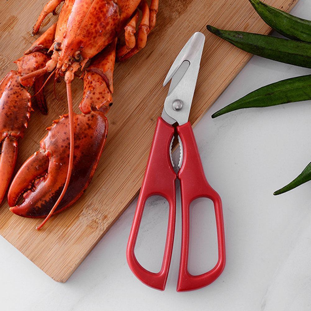 Stainless Steel Seafood Cutting Scissors - Decotree.co Online Shop