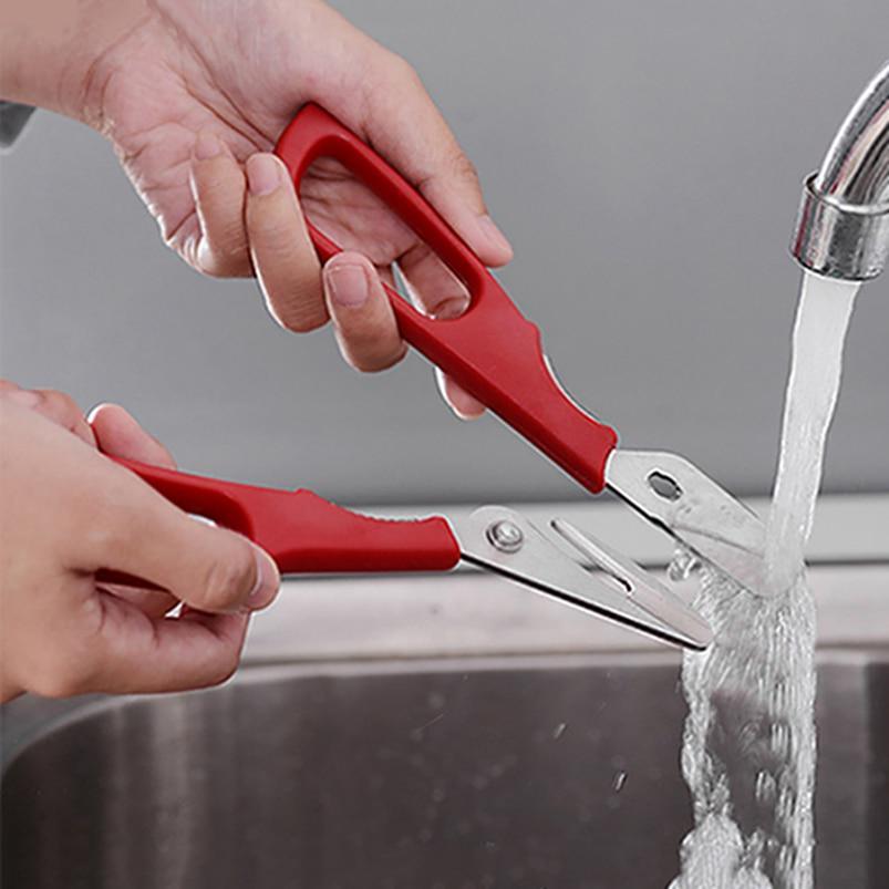 Stainless Steel Seafood Cutting Scissors - Decotree.co Online Shop