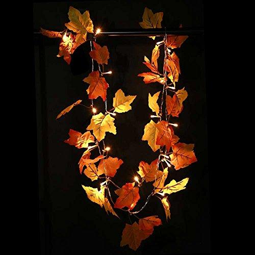 Thanksgiving Decorations Lighted Fall Garland, Thanksgiving Decor Halloween String Lights 8.2 Feet 20 LED - Decotree.co Online Shop