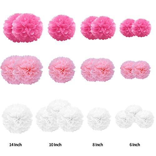Tissue Paper Pompoms Paper Flower 22 Pcs Pink,Rose Red,White Paper Flower Ball for Birthday Bachelorette Wedding Baby Shower Bridal Shower Party Decoration - Decotree.co Online Shop
