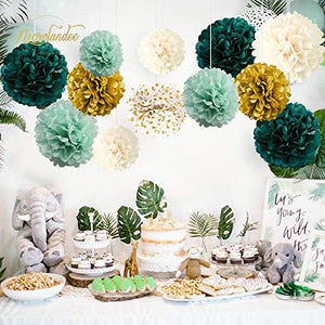 Wedding Party Decorations - 12 PCS Green Ivory Tissue Paper Pom Poms for Neutral Baby Shower, Vintage Party, Birthday, Bridal Showers, Rustic Wedding Decorations - Decotree.co Online Shop